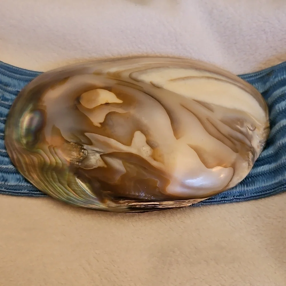 Vtg 1970s Tropical Shell World Blue Stretch Abalone Buckle Mermaid Festival Belt